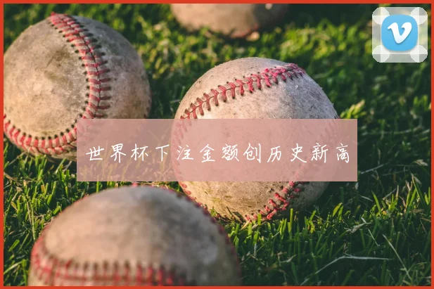 世界杯下注金额创历史新高