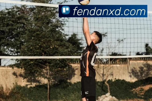 必一运动体育app官网APP 高清赛事图